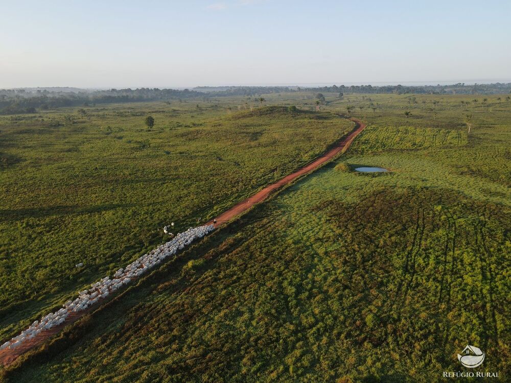 Fazenda, 2900 hectares - Foto 2