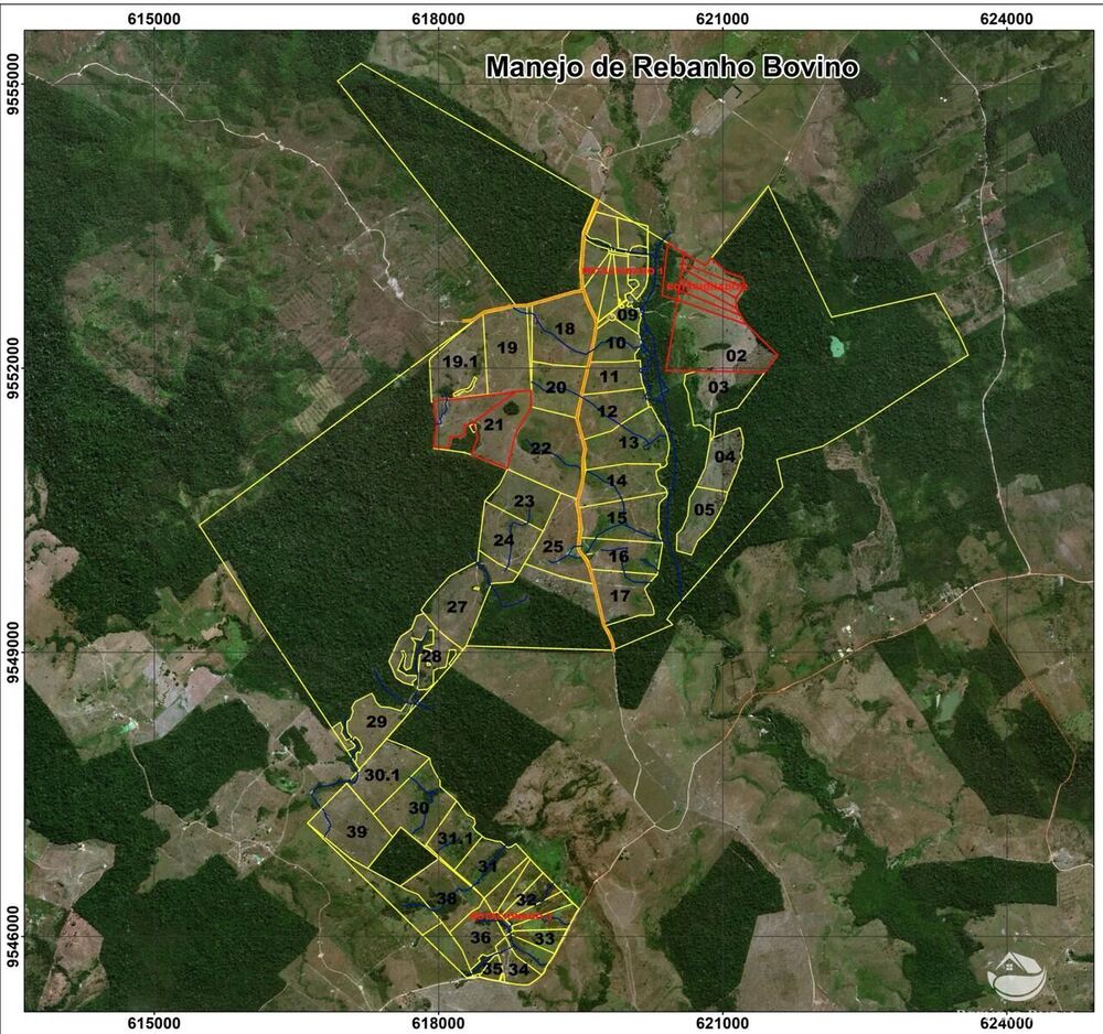 Fazenda, 2900 hectares - Foto 3