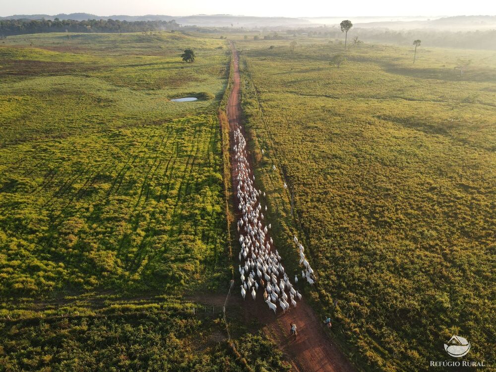 Fazenda, 2900 hectares - Foto 1