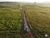 Fazenda, 2900 hectares - Foto 1
