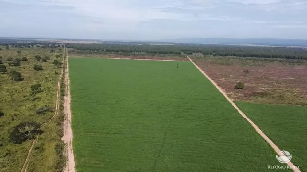 Fazenda, 3030 hectares - Foto 3
