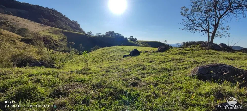 Terreno, 2 hectares - Foto 3