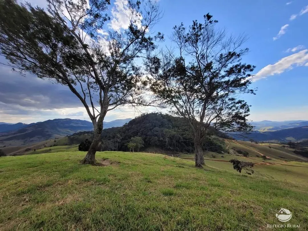 Terreno, 2 hectares - Foto 4