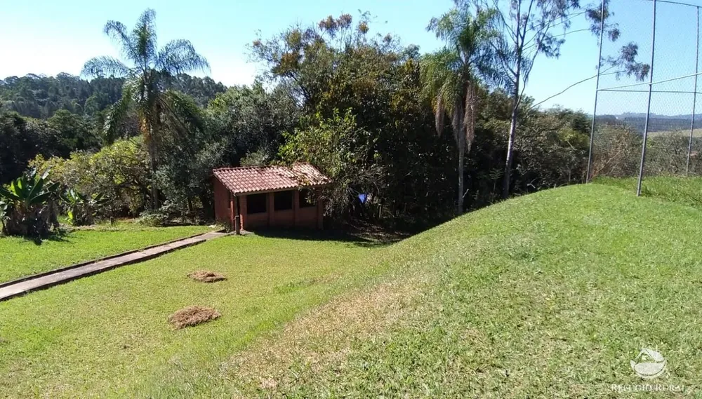 Sítio, 12 hectares - Foto 15