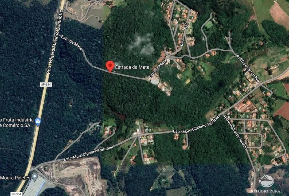 Sítio, 12 hectares - Foto 4