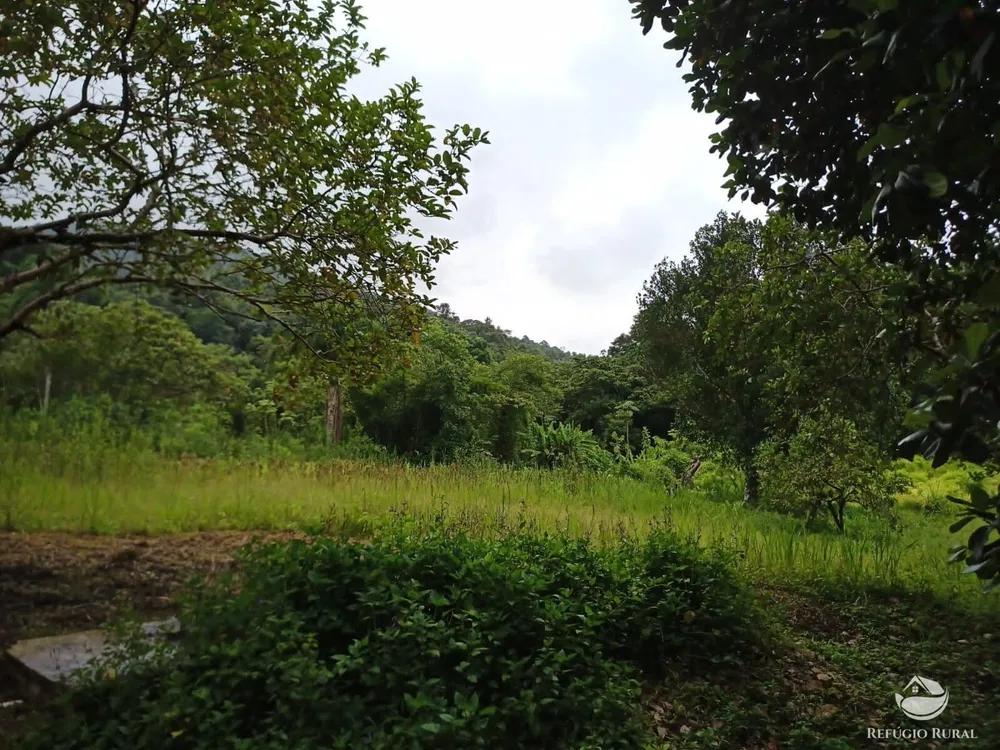Sítio, 172 hectares - Foto 9