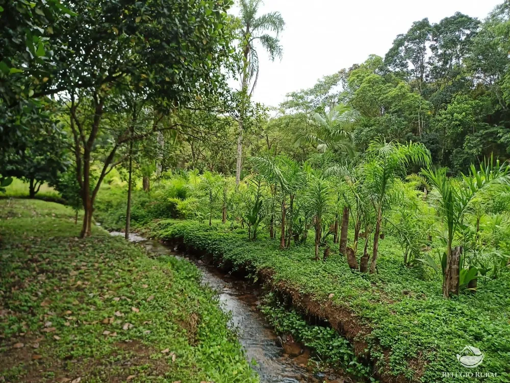 Sítio, 172 hectares - Foto 7