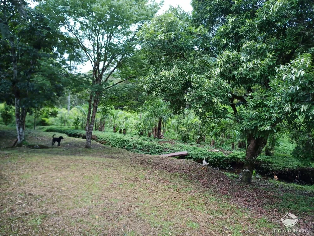 Sítio, 172 hectares - Foto 11