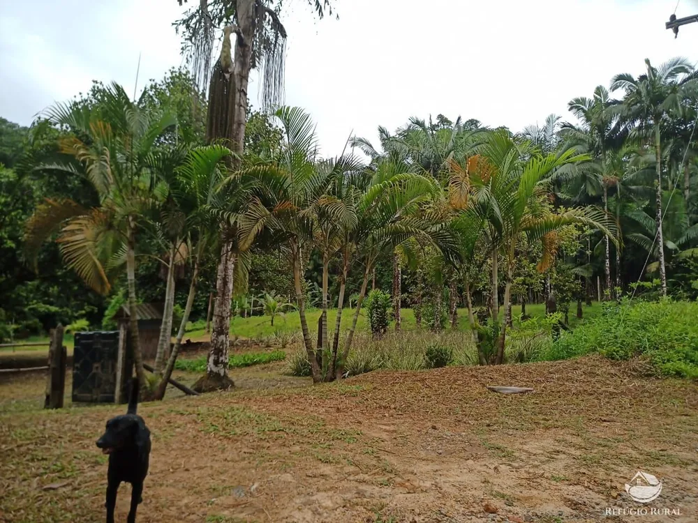 Sítio, 172 hectares - Foto 10