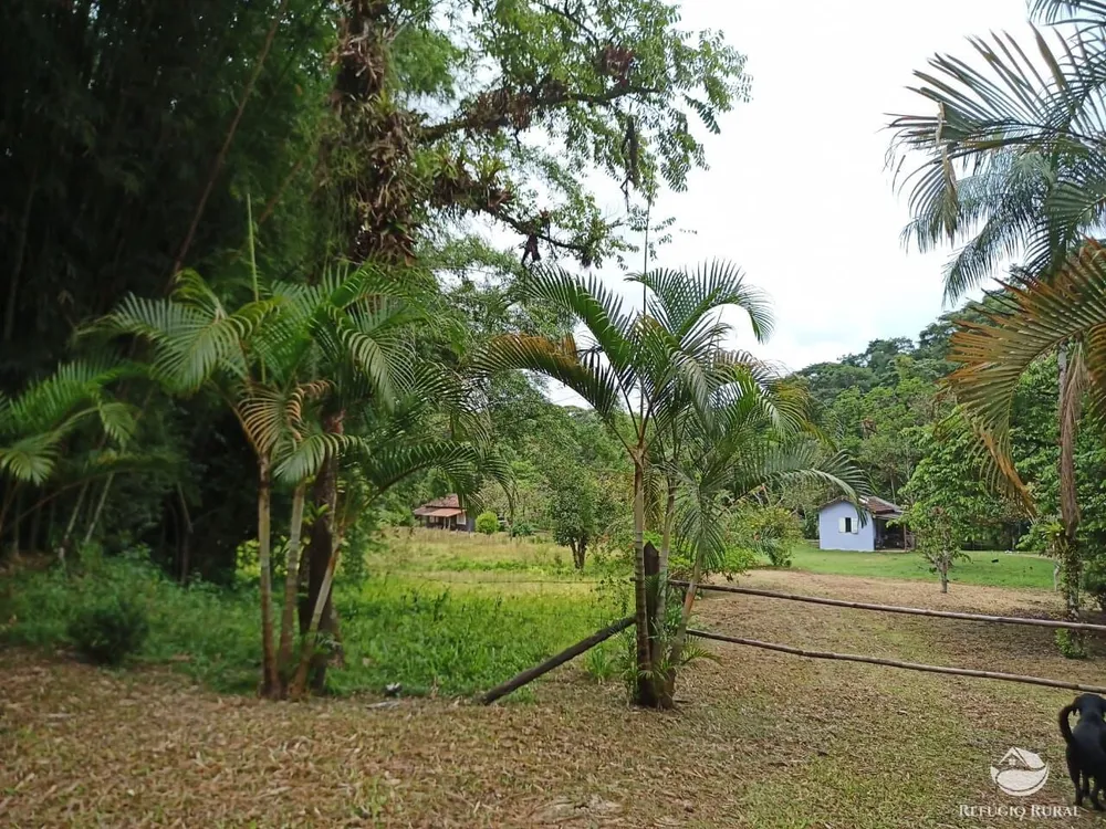Sítio, 172 hectares - Foto 1