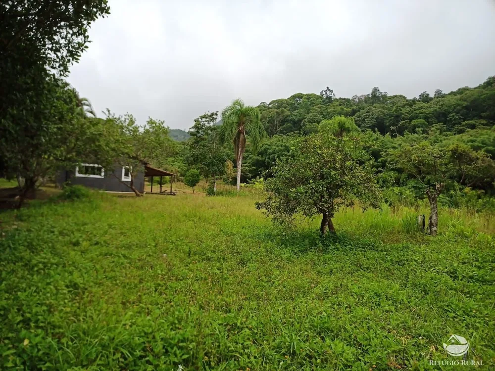 Sítio, 172 hectares - Foto 4