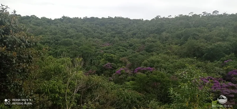 Terreno, 4 hectares - Foto 8
