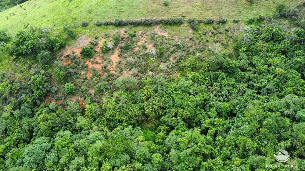 Terreno, 4 hectares - Foto 6