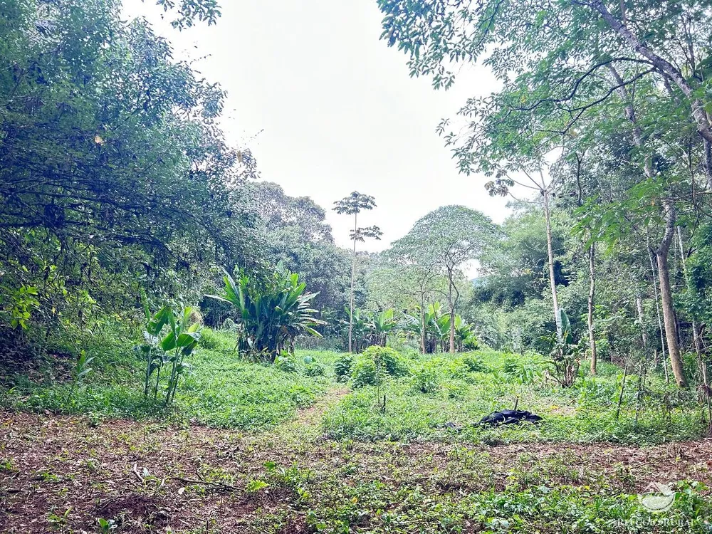 Terreno, 4 hectares - Foto 9