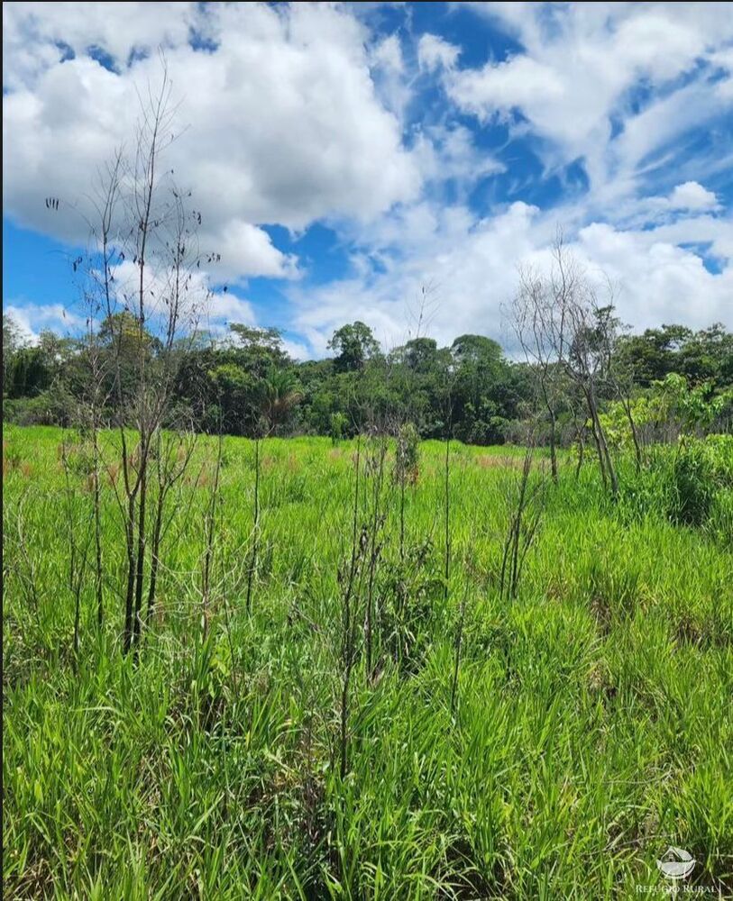 Fazenda à venda com 1 quarto, 14640000m² - Foto 3