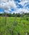Fazenda, 1464 hectares - Foto 3