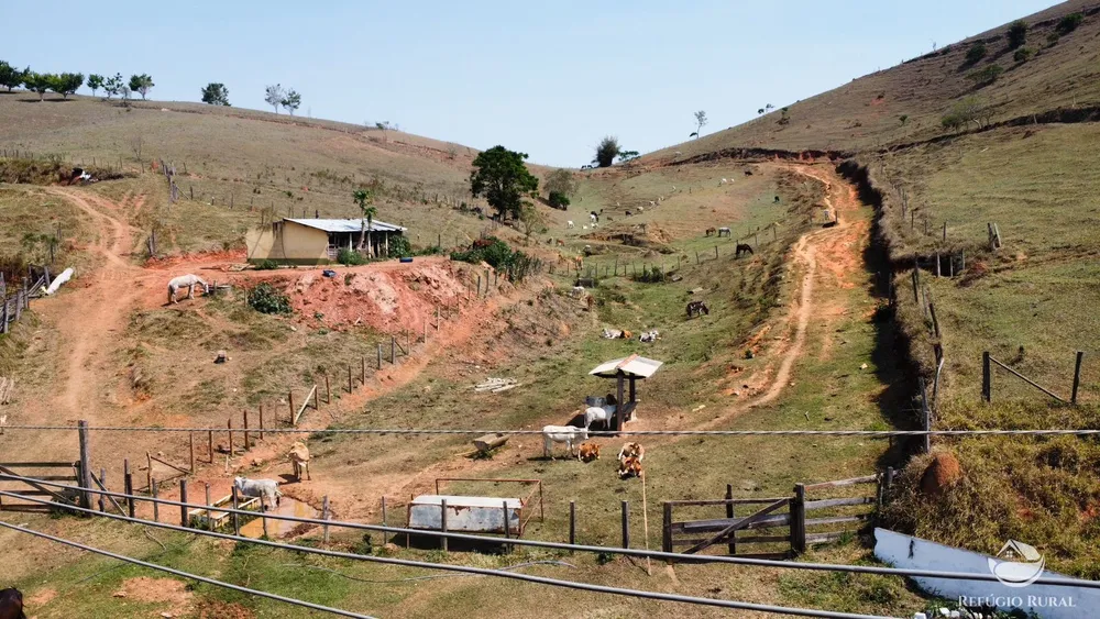 Sítio, 36 hectares - Foto 1