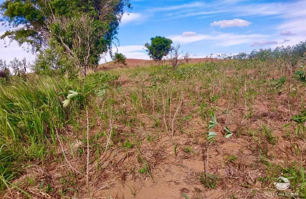 Chácara, 2 hectares - Foto 12