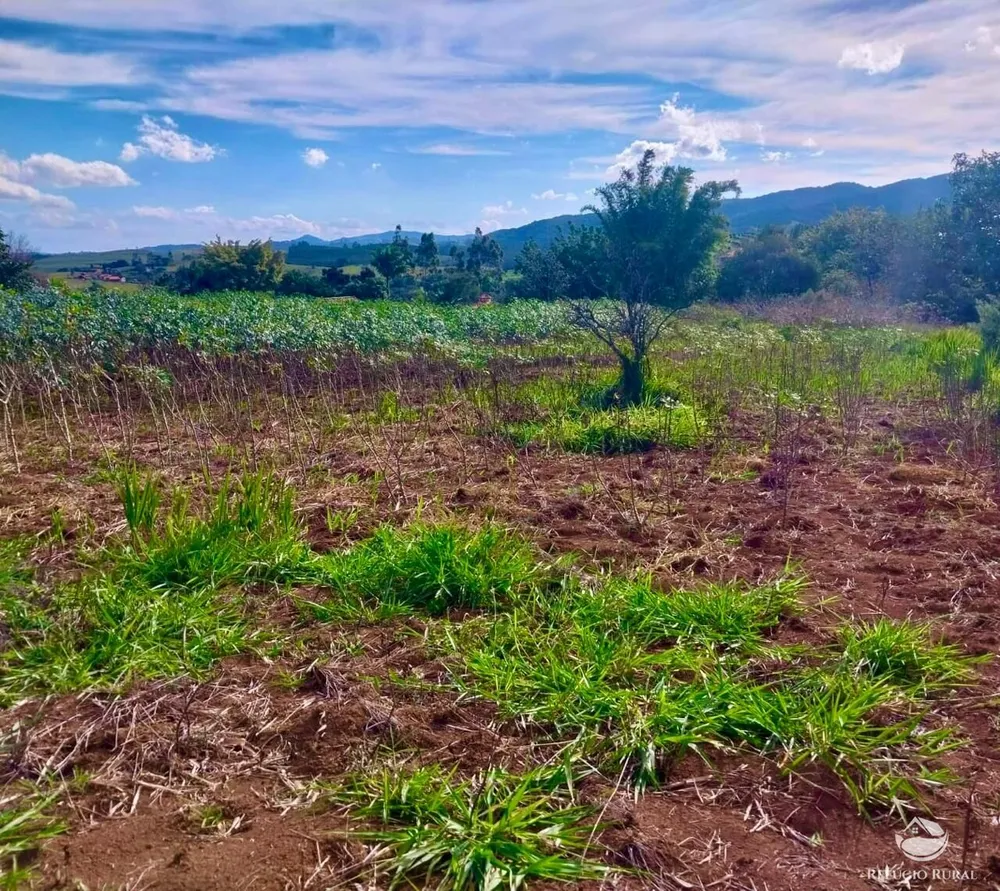 Chácara, 2 hectares - Foto 16