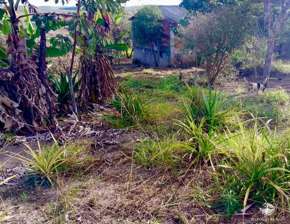 Chácara, 2 hectares - Foto 6