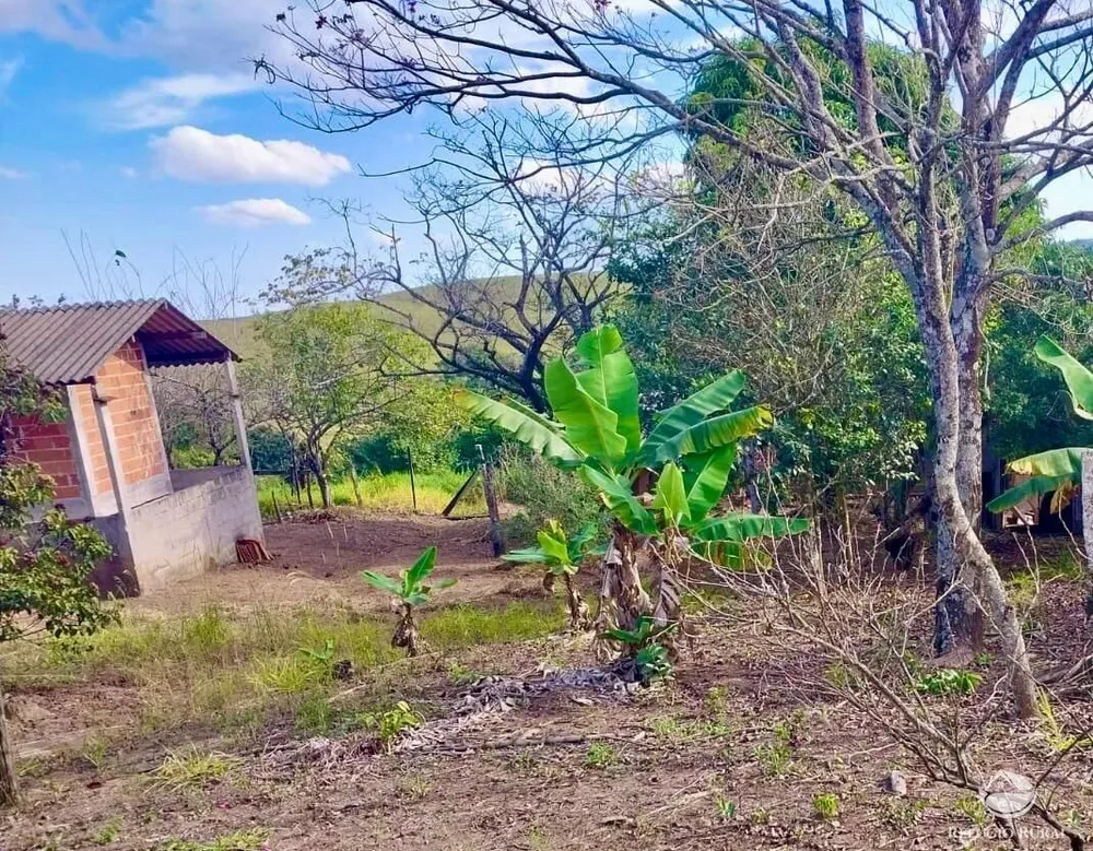 Chácara, 2 hectares - Foto 9