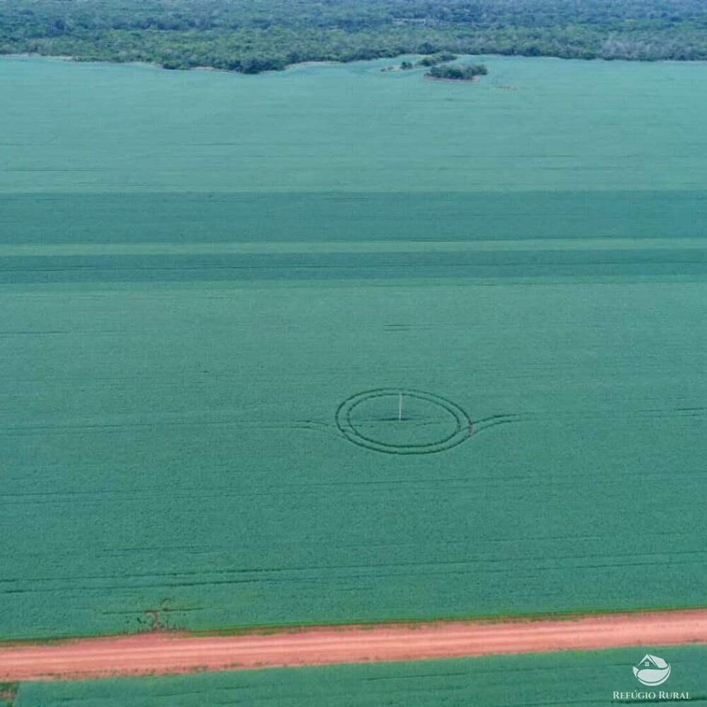 Fazenda à venda com 1 quarto, 19989200m² - Foto 3
