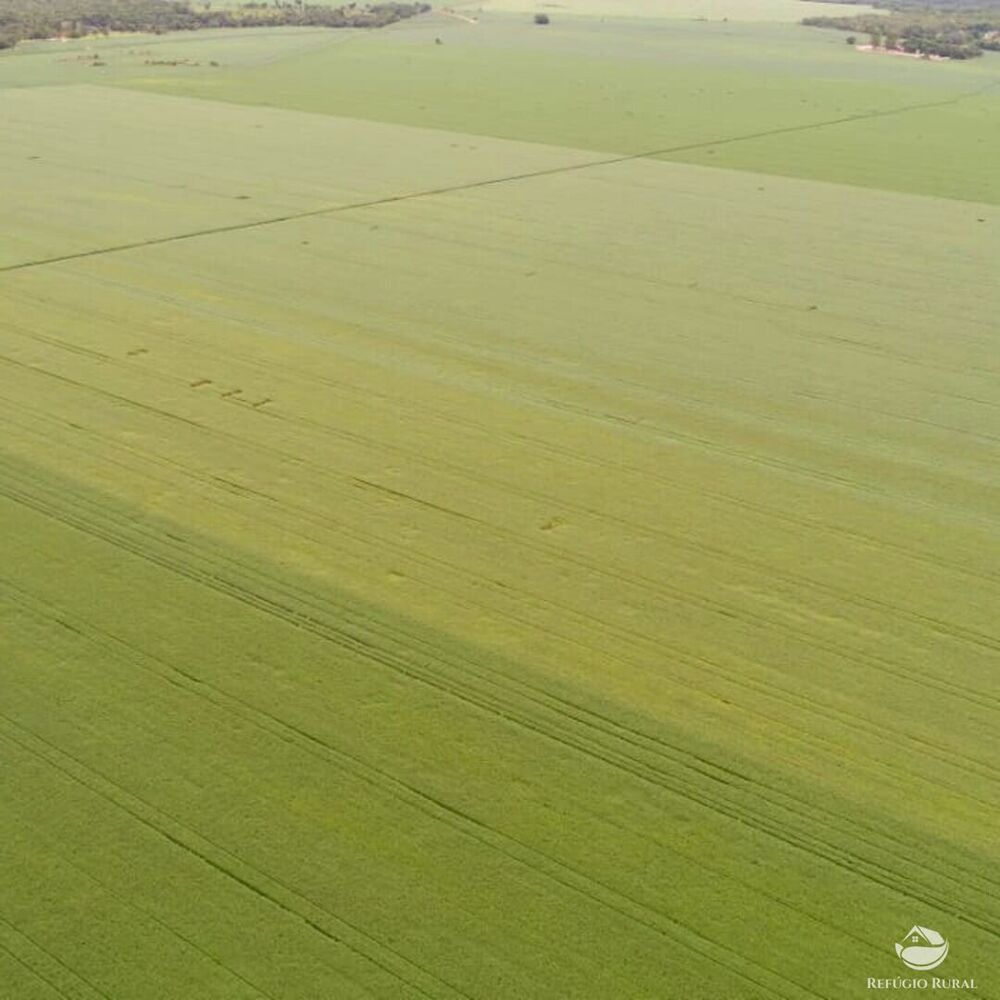 Fazenda à venda com 1 quarto, 19989200m² - Foto 2