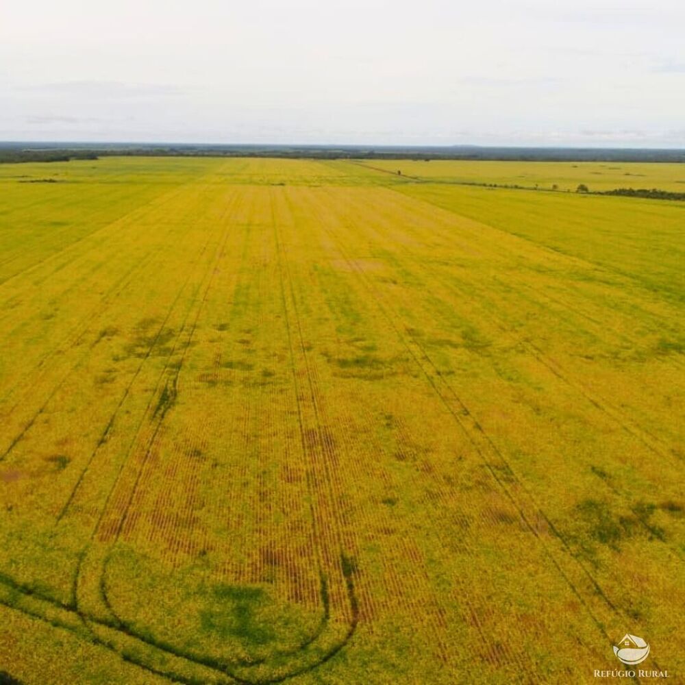 Fazenda à venda com 1 quarto, 19989200m² - Foto 4