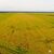 Fazenda-Sítio-Chácara, 1999 hectares - Foto 4