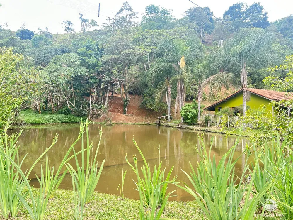 Sítio, 26 hectares - Foto 14