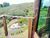 Sítio, 5 quartos, 24 hectares - Foto 2