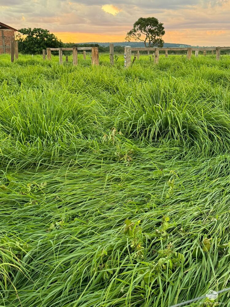 Fazenda à venda com 1 quarto, 1450000m² - Foto 2