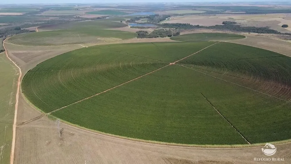 Fazenda, 1000 hectares - Foto 4