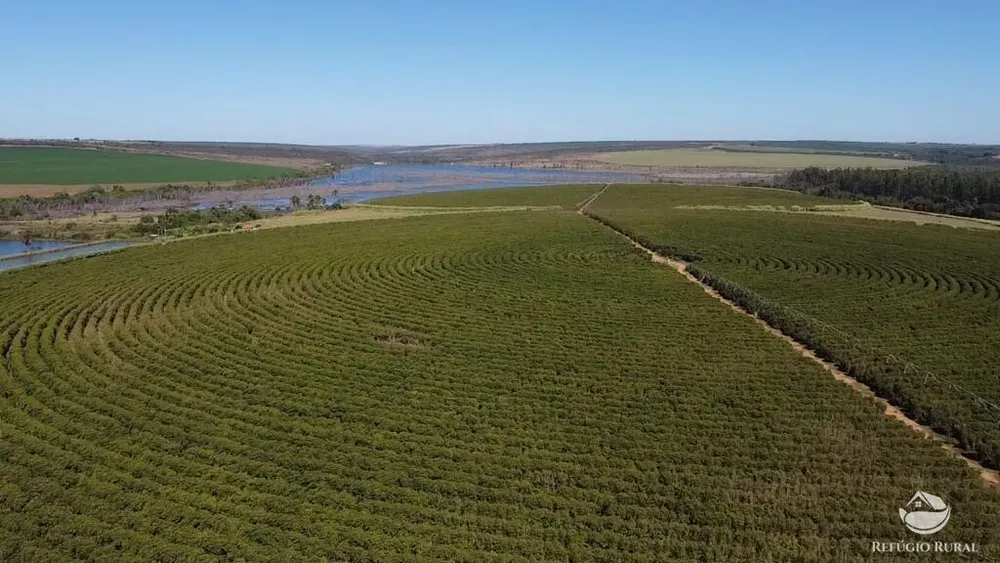 Fazenda, 1000 hectares - Foto 11
