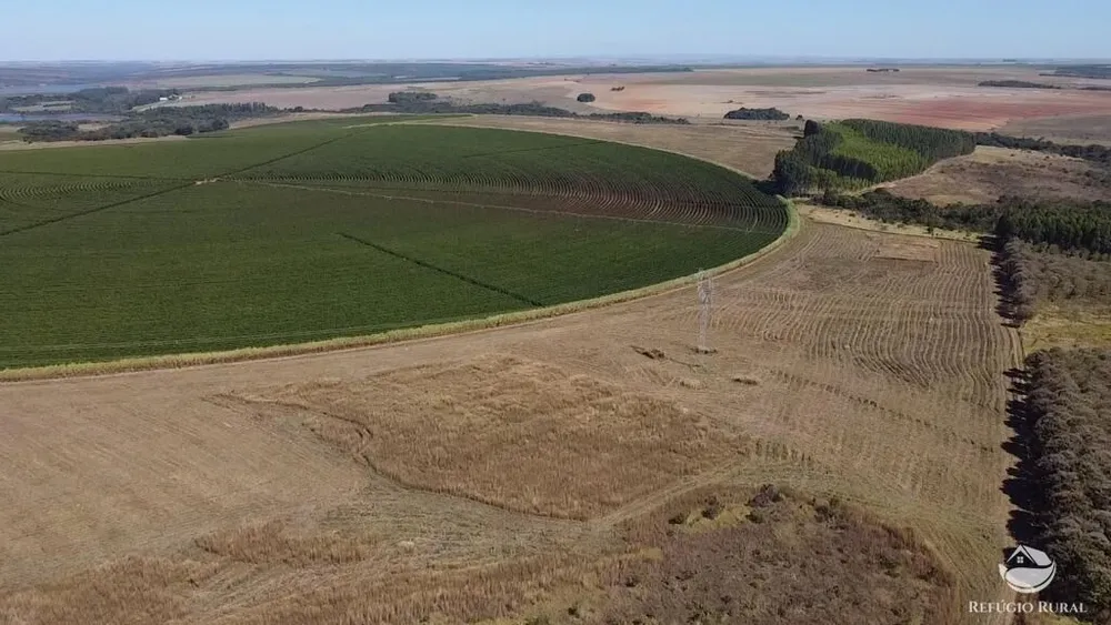 Fazenda, 1000 hectares - Foto 6