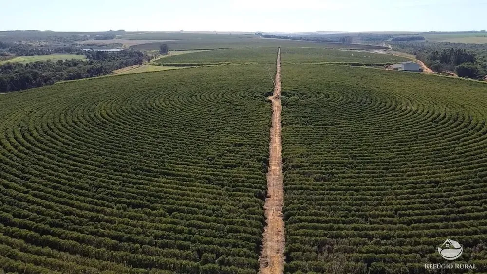 Fazenda, 1000 hectares - Foto 12
