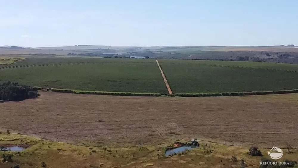 Fazenda, 1000 hectares - Foto 9