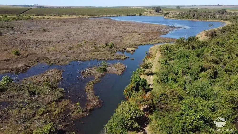 Fazenda, 1000 hectares - Foto 1