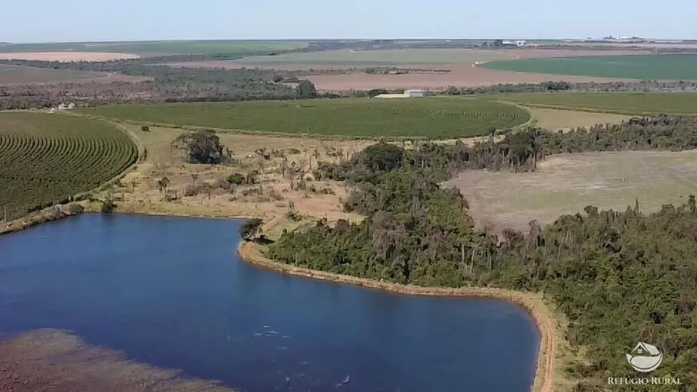 Fazenda, 1000 hectares - Foto 8