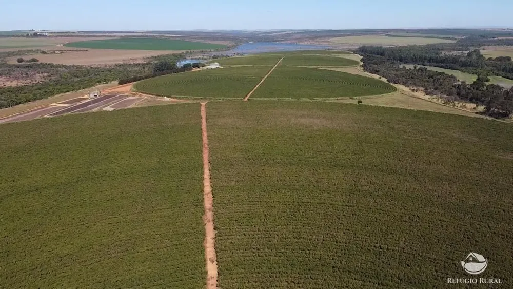 Fazenda, 1000 hectares - Foto 7
