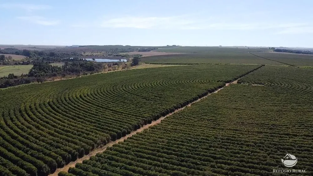 Fazenda, 1000 hectares - Foto 10