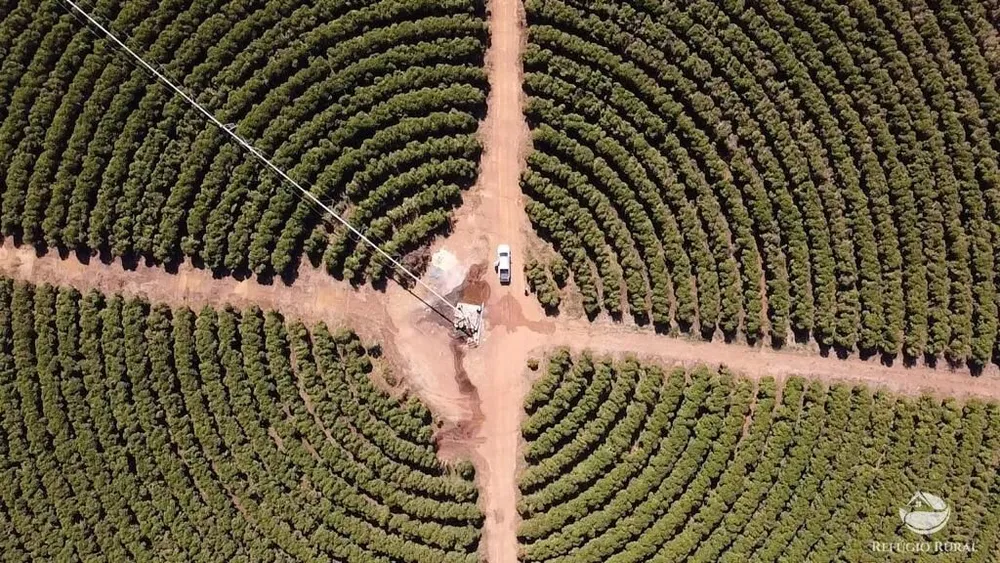Fazenda, 1000 hectares - Foto 2