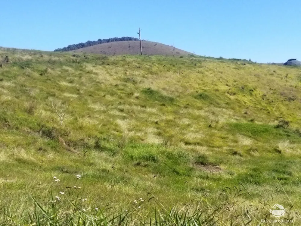 Terreno, 3 hectares - Foto 11