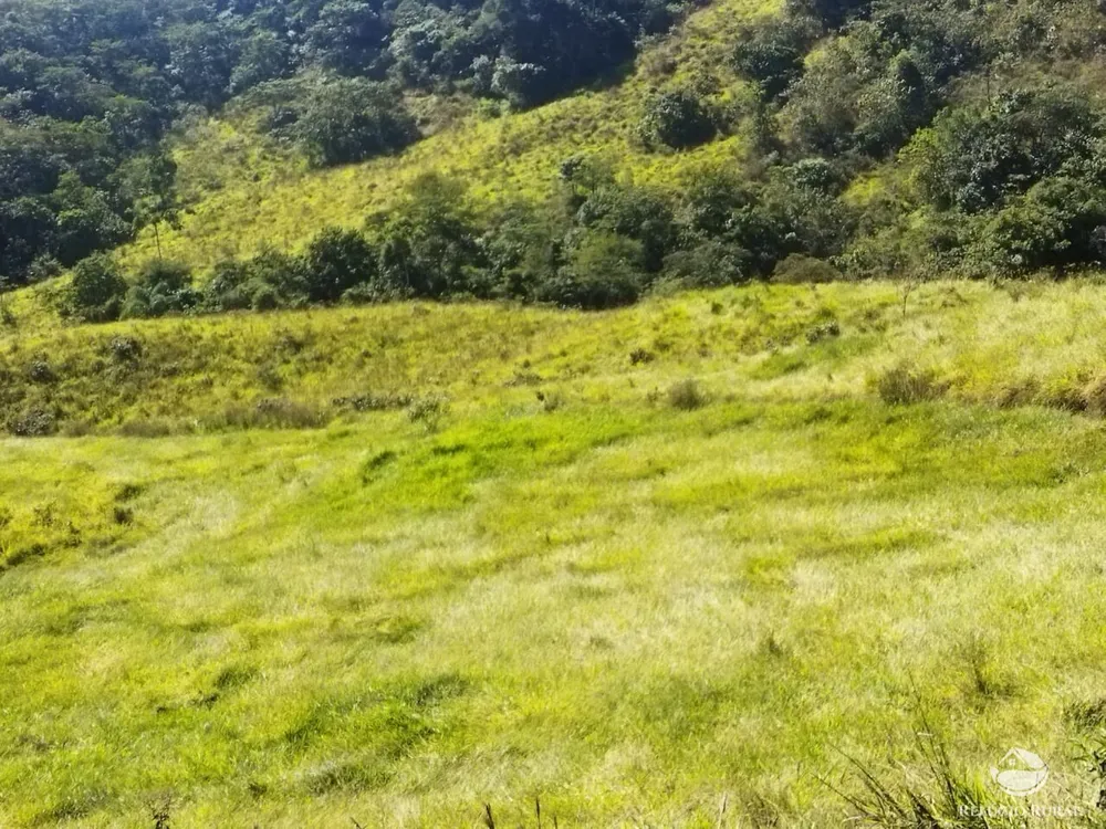 Terreno, 3 hectares - Foto 4