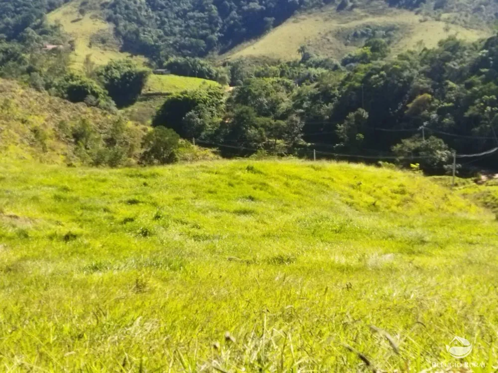 Terreno, 3 hectares - Foto 9