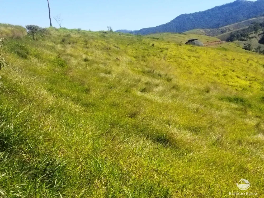 Terreno, 3 hectares - Foto 3
