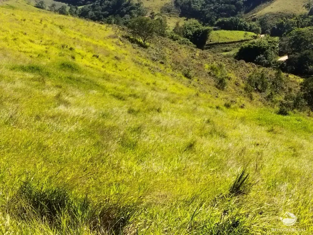Terreno, 3 hectares - Foto 7