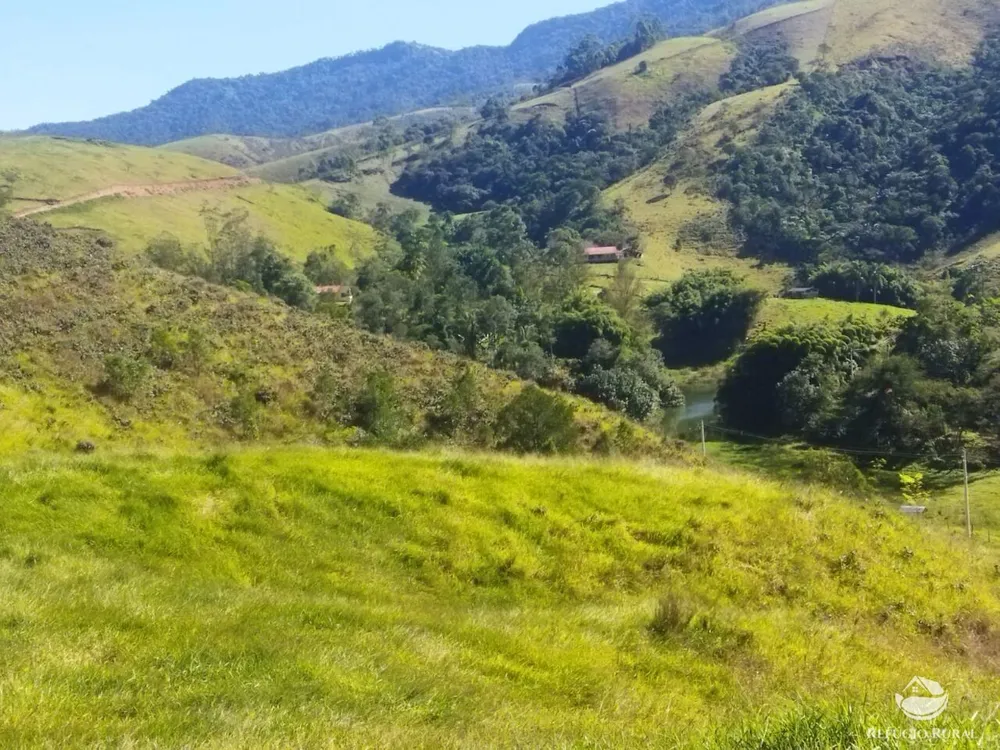 Terreno, 3 hectares - Foto 8