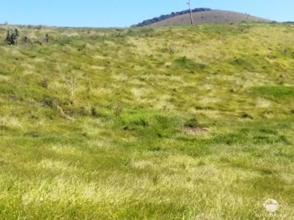 Terreno, 3 hectares - Foto 12