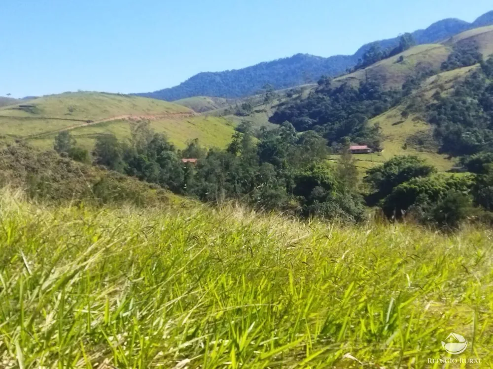 Terreno, 3 hectares - Foto 10